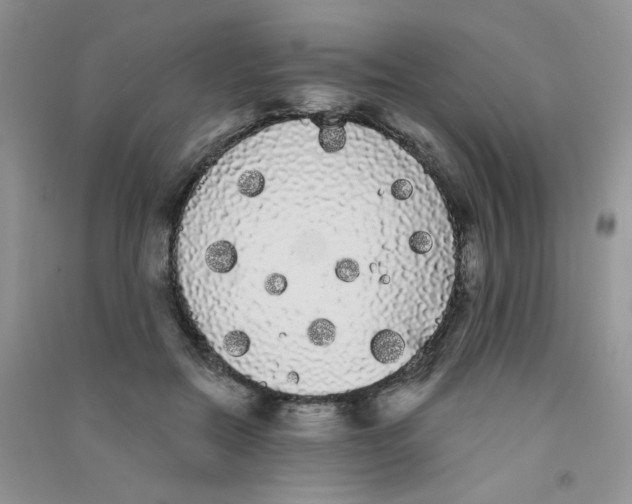 X0000090710554200708171908