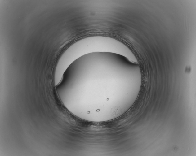 X0000090710556200708171908