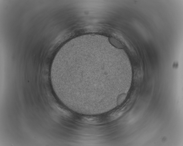 X0000090710557200708171908