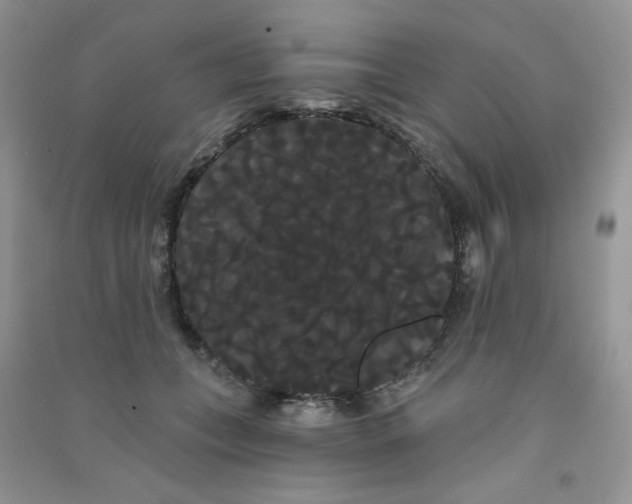 X0000090710559200708171908