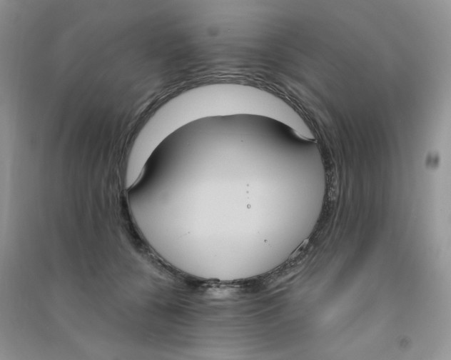 X0000090710560200708171908