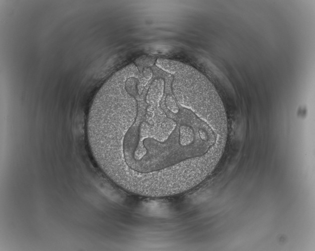 X0000090710561200708171908