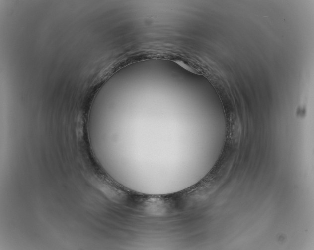 X0000090710562200708171908