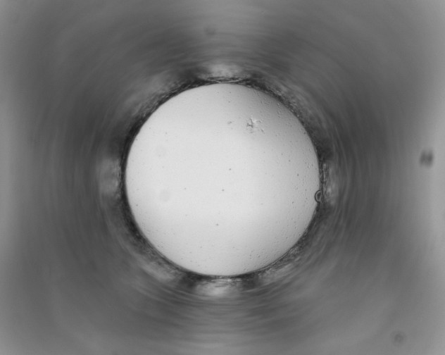 X0000090710563200708171908