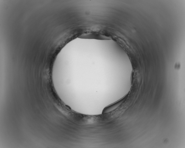 X0000090710564200708171908