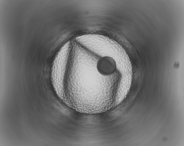 X0000090710565200708171908