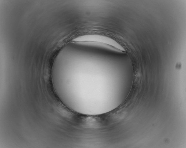 X0000090710566200708171908