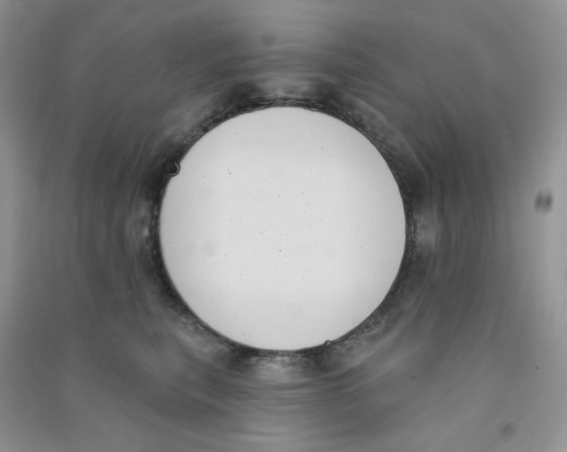 X0000090710567200708171908