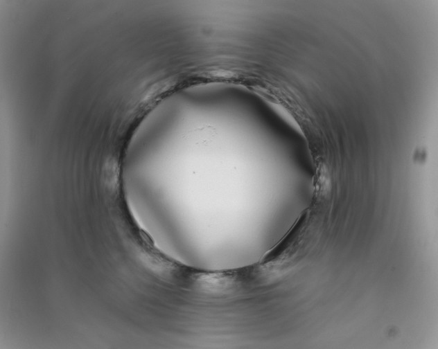 X0000090710568200708171908