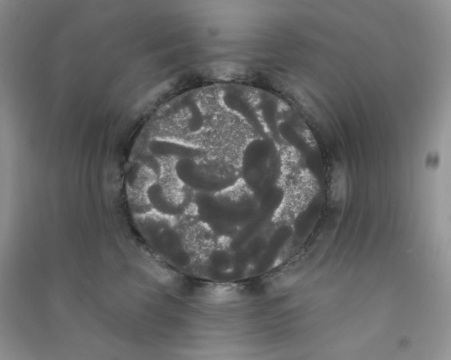 X0000090710569200708171908