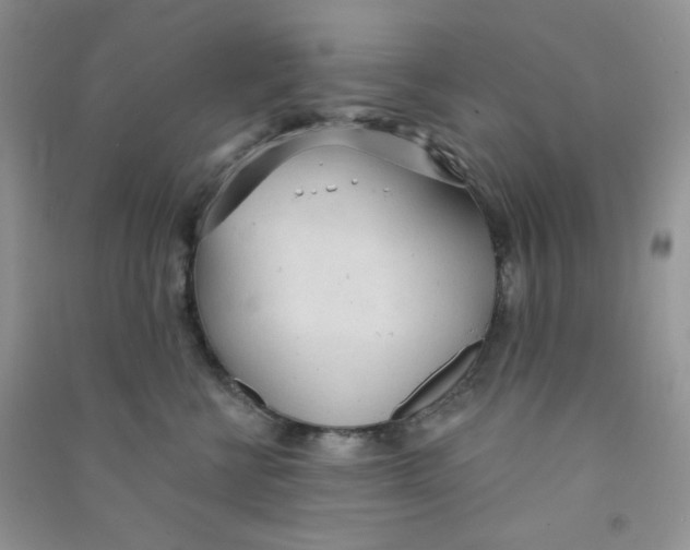 X0000090710570200708171908