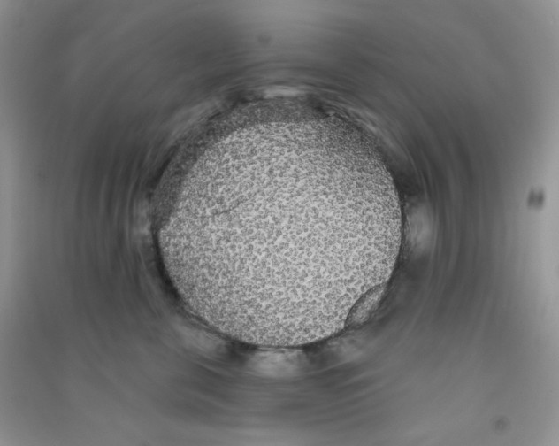 X0000090710571200708171909