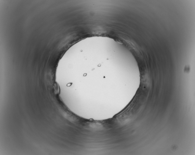 X0000090710572200708171909