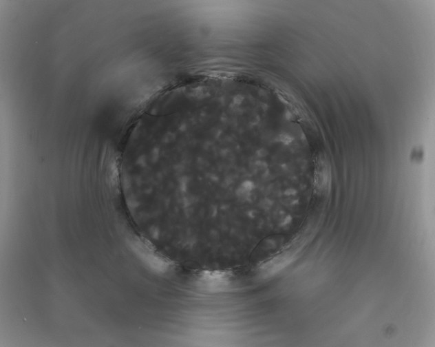 X0000090710573200708171909