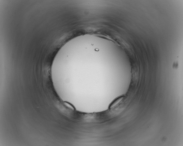 X0000090710574200708171909