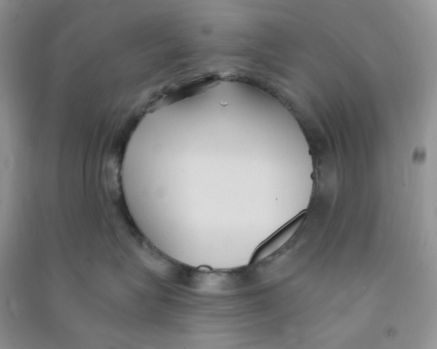 X0000090710575200708171909