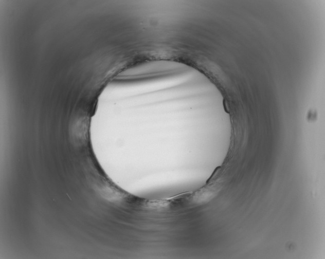 X0000090710576200708171909