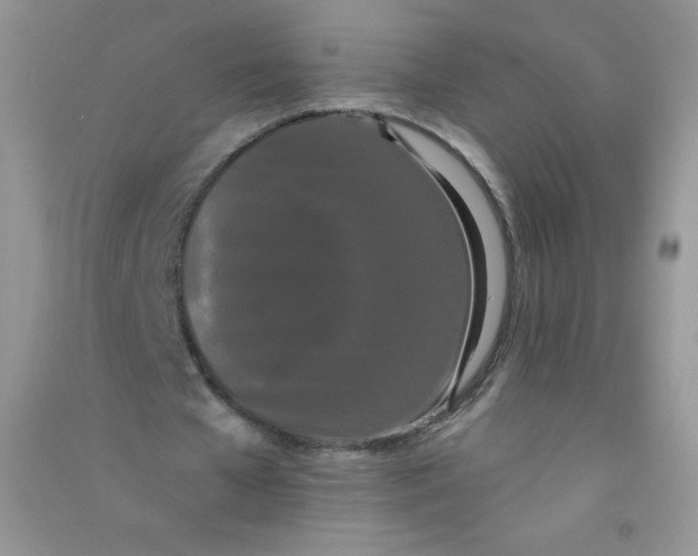 X0000090710577200708171908