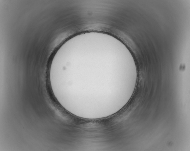 X0000090710578200708171908