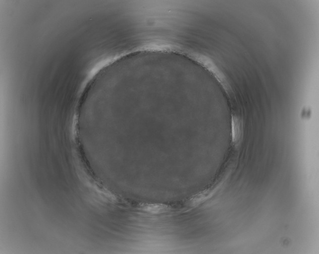 X0000090710579200708171908