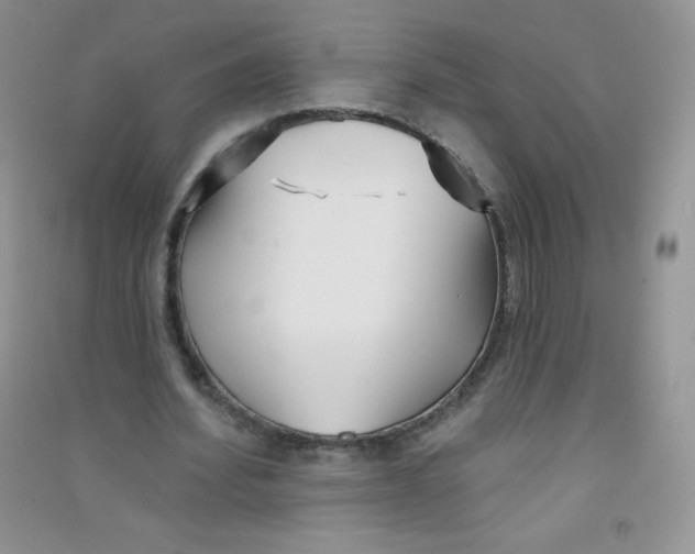 X0000090710580200708171908