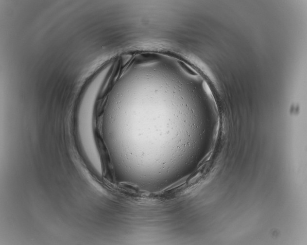 X0000090710581200708171908