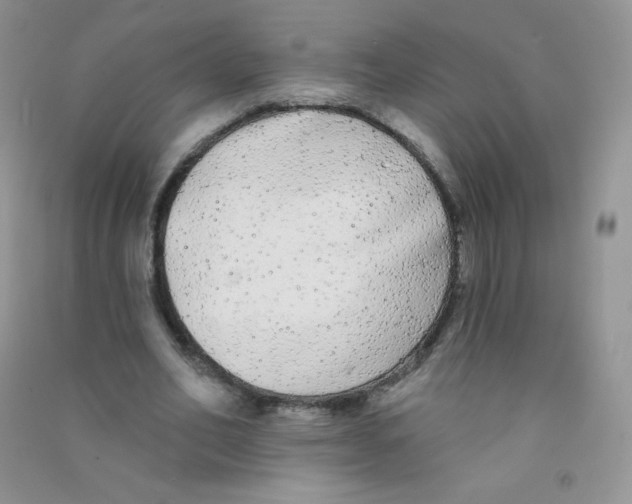 X0000090710582200708171908