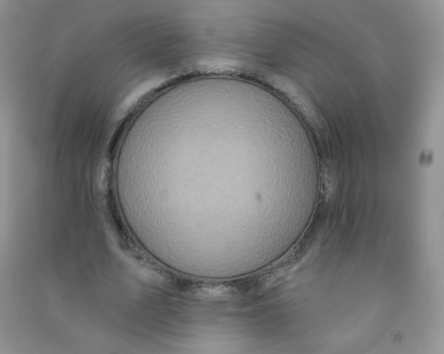 X0000090710583200708171908