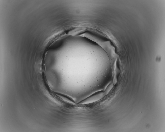 X0000090710585200708171908