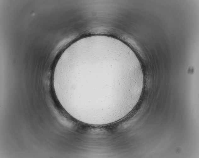 X0000090710586200708171908