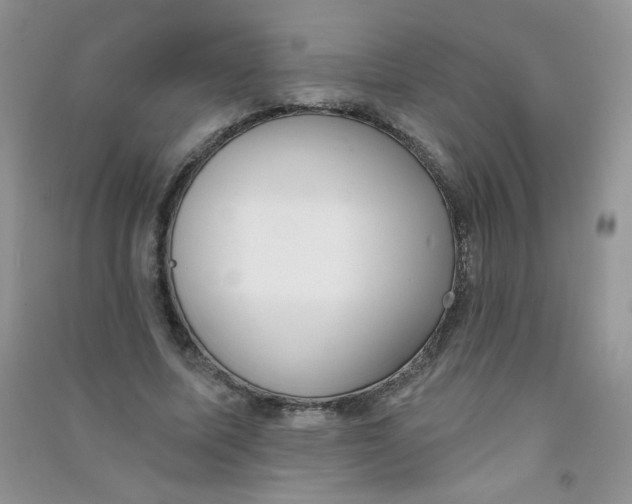 X0000090710587200708171908