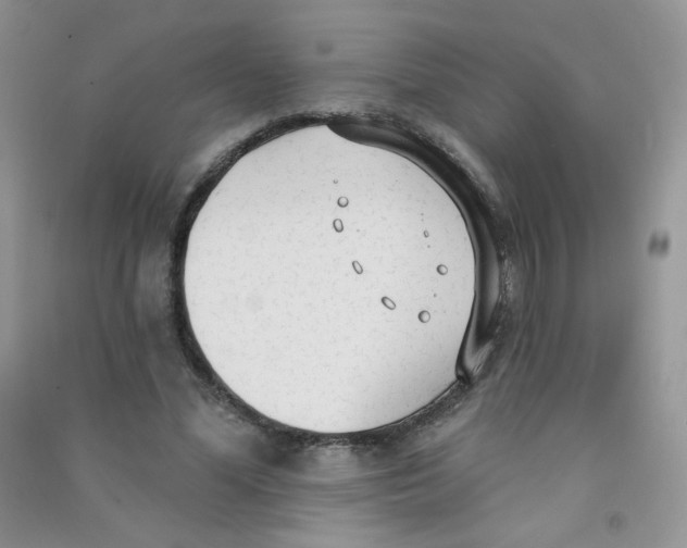 X0000090710588200708171908