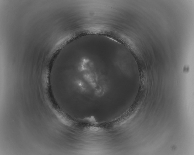 X0000090710590200708171908