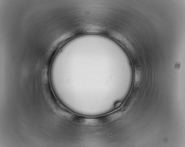 X0000090710591200708171908