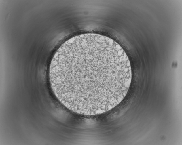 X0000090710592200708171908