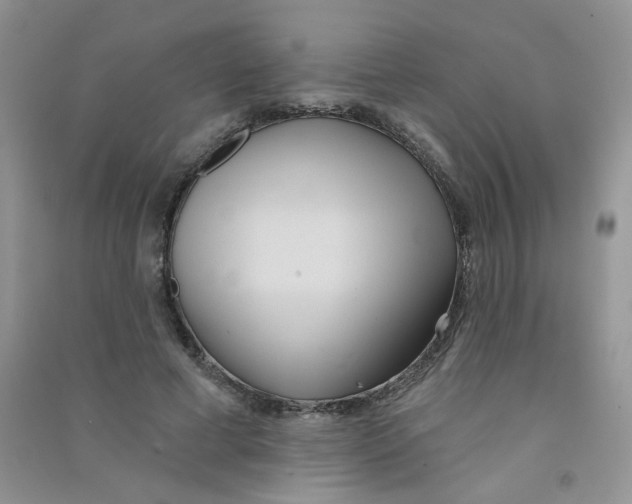 X0000090710593200708171908