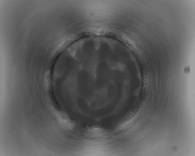 X0000090710594200708171908