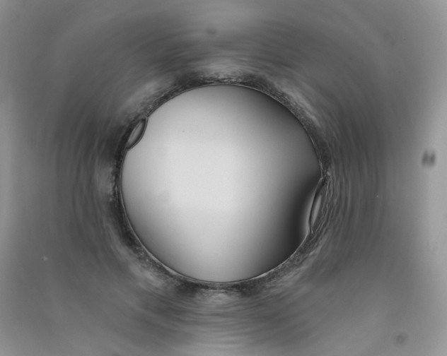 X0000090710597200708171908