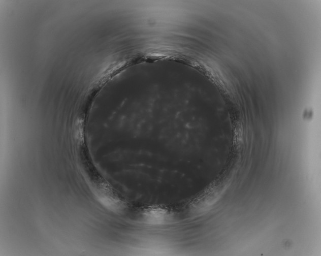 X0000090710598200708171908