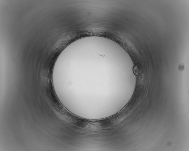 X0000090710599200708171908