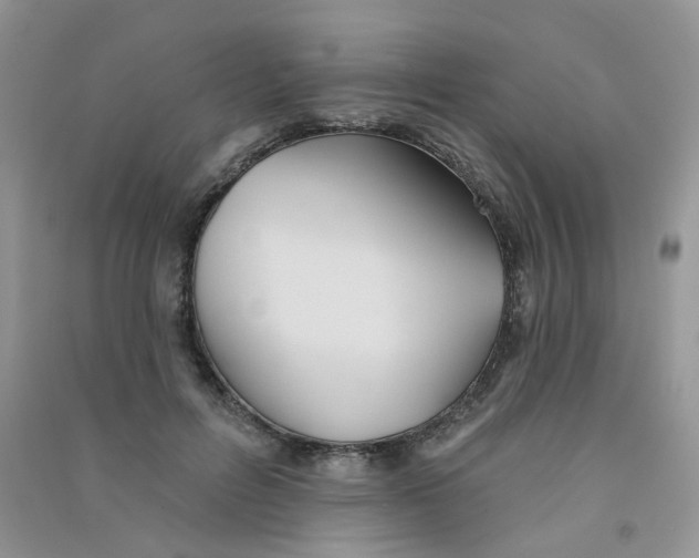 X0000090710600200708171908