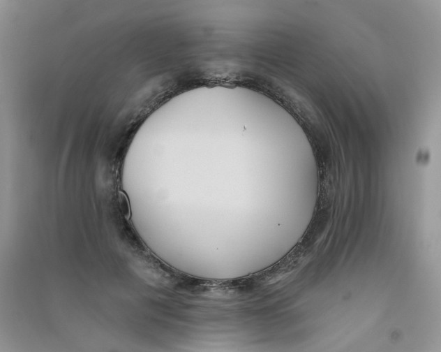 X0000090710601200708171908