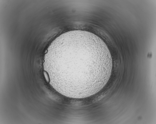 X0000090710602200708171908