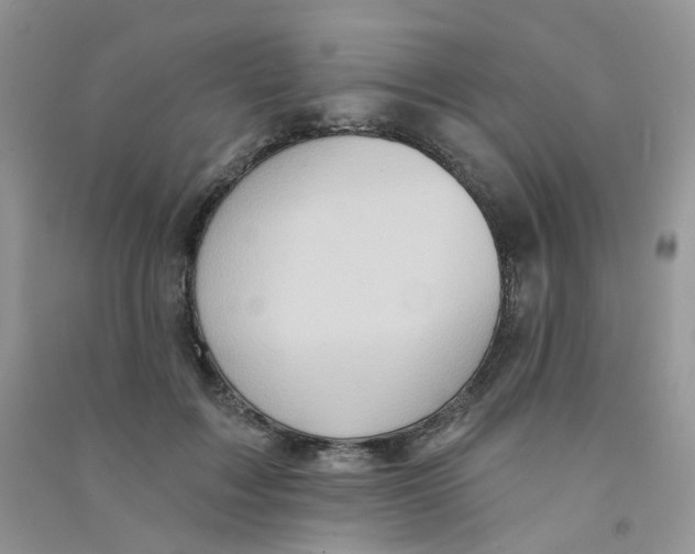 X0000090710603200708171908