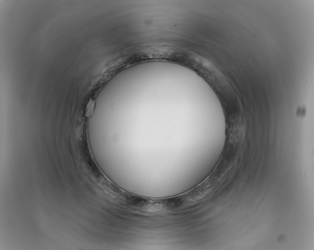 X0000090710604200708171908