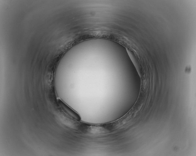 X0000090710605200708171908