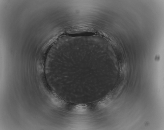 X0000090710606200708171908