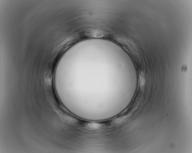 X0000090710607200708171908