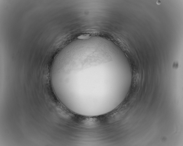 X0000090710609200708171908