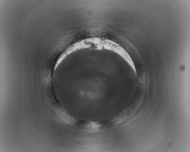 X0000090710610200708171908